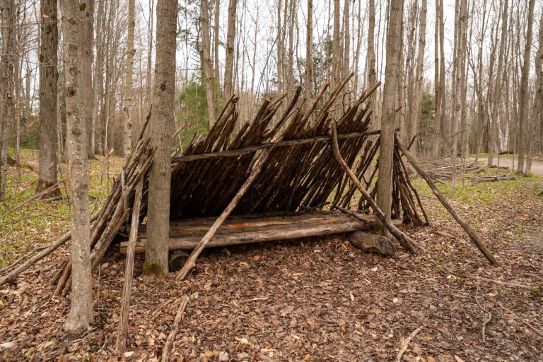 How to Build a Shelter in the Wilderness: Essential Tips for Survival