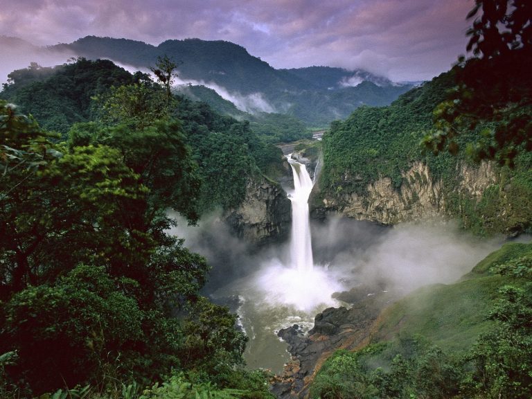 Adventure Travel to the Amazon Forest, A Journey Into the Heart of Nature