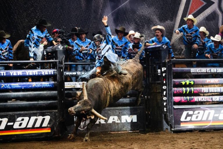 The Resurgence of Bull Riding: America’s Next Major Sport