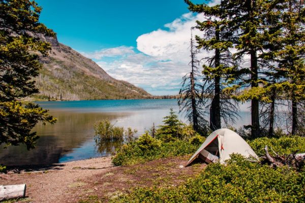 Mastering Wilderness Survival, Essential Skills for 2025