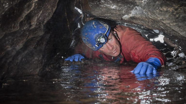 Redhouse Lane: Unearthing the Hidden Cathedral Caves Beneath the Forest of Dean