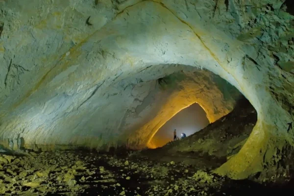Exploring the Movile Cave: Life Thriving Without Sunlight for 5.5 Million Years