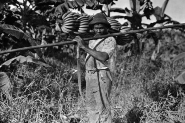 The 1928 Banana Massacre: When “White Gold” Met State Violence
